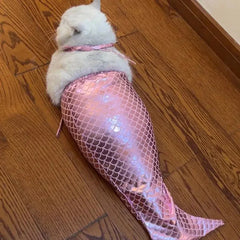 Cute Mermaid Pet Costume DSers