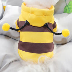 Pet Halloween Bee Costume Florida Guy