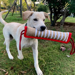 Durable Dog Training Tug of War DSers