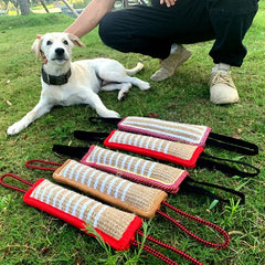 Durable Dog Training Tug of War DSers