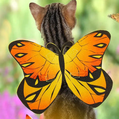 Halloween Cat Butterfly Wings DSers