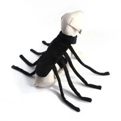 Halloween Dog Spider Costume DSers