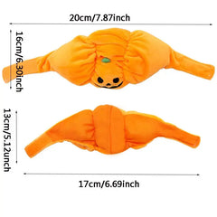 Cute Pet Pumpkin Costume DSers