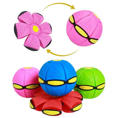 Dog Flying Saucer Toy DSers