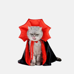 Cute Vampire Cat Costume DSers