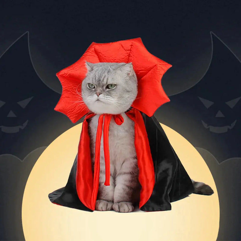 Cute Vampire Cat Costume DSers