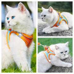 Pet Harness and Leash Set DSers