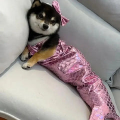 Cute Mermaid Pet Costume DSers