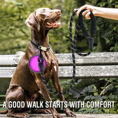 Reflective Pet Leashes - Florida Guy