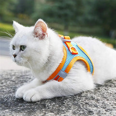 Pet Harness and Leash Set DSers