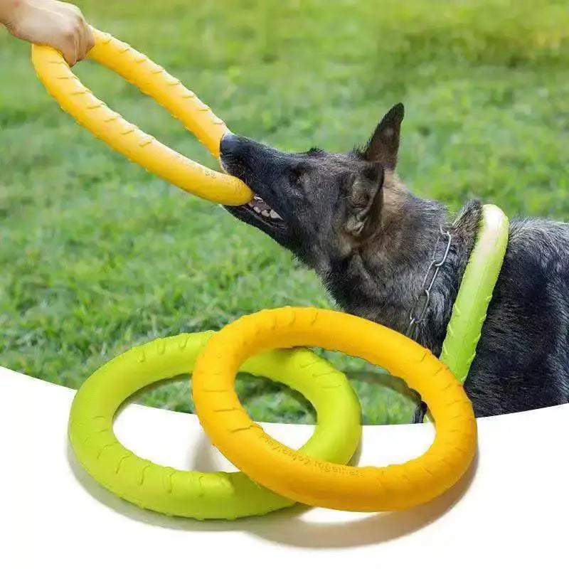 Interactive Dog Training Ring DSers