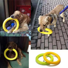 Interactive Dog Training Ring DSers