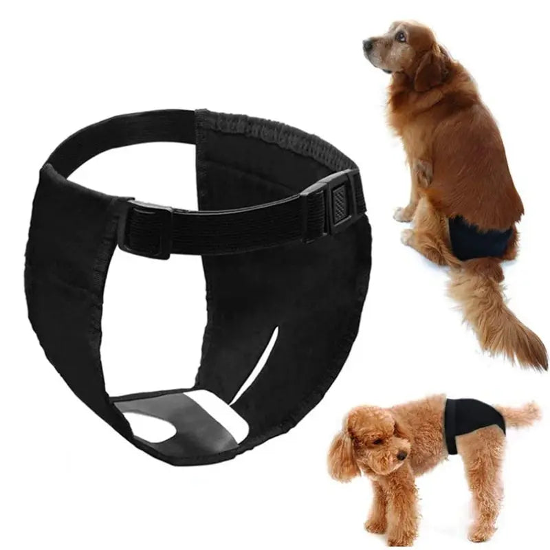 Reusable Dog Pantie DSers