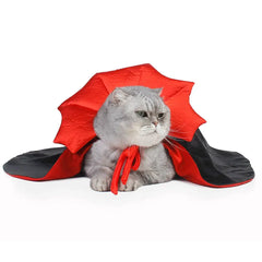 Cute Vampire Cat Costume DSers