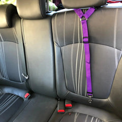 Pet Car Seat Belt DSers