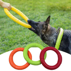 Interactive Dog Training Ring DSers