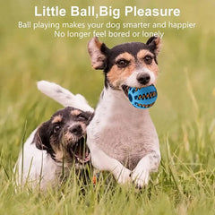 Interactive Dog Ball Feeder DSers