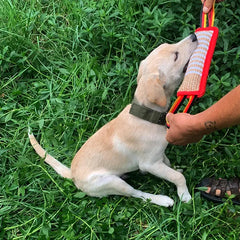 Durable Dog Training Tug of War DSers