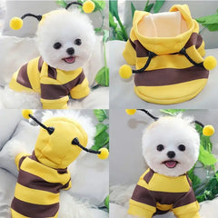 Pet Halloween Bee Costume Florida Guy