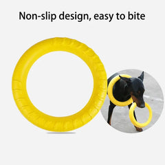 Interactive Dog Training Ring DSers