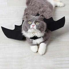 Halloween Cute Pet Clothes Black Bat Florida Guy