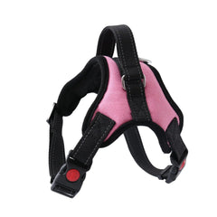 Pet Walking Harness Adjustable Comfort Florida Guy