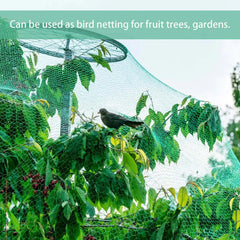 33FT Anti Bird Netting Pond Net Protection Tree Crops Plants Fruits Garden Mesh Florida Guy