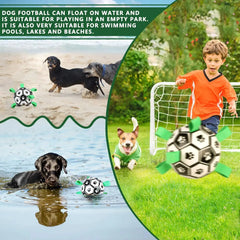 Soccer Ball Dog Toy Florida Guy