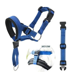 Dog Halter Training Head Collar Florida Guy