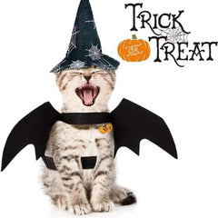 Halloween Cute Pet Clothes Black Bat Florida Guy