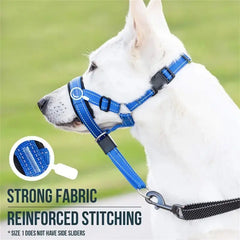 Dog Halter Training Head Collar Florida Guy