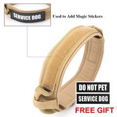 Dog Collar Florida Guy