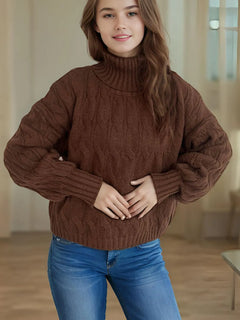 Cable-Knit Turtleneck Long Sleeve Sweater - Florida Guy