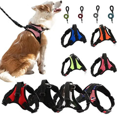 Pet Walking Harness Adjustable Comfort Florida Guy