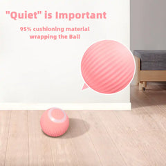 Smart Cat Ball Toys Zendrop