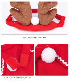 Pet Christmas Clothes Florida Guy