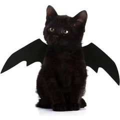 Halloween Cute Pet Clothes Black Bat Florida Guy