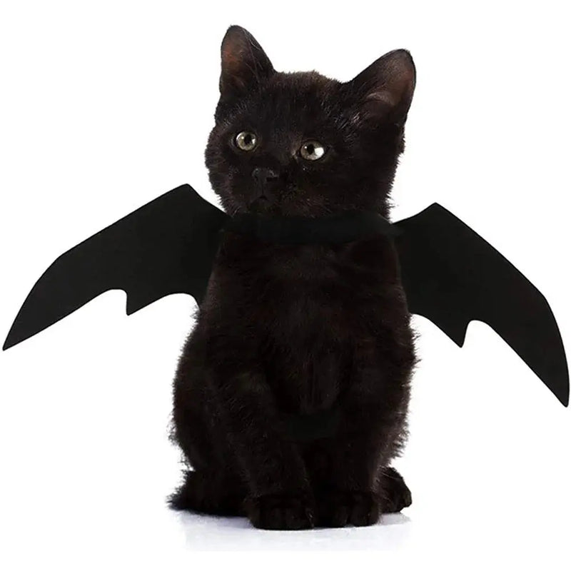 Halloween Cute Pet Clothes Black Bat Florida Guy