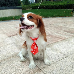 Christmas Dog Necktie Florida Guy