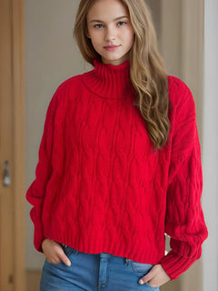 Cable-Knit Turtleneck Long Sleeve Sweater - Florida Guy