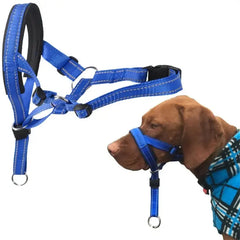 Dog Halter Training Head Collar Florida Guy