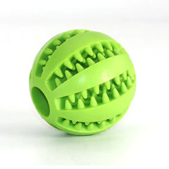 Interactive Pets Rubber Balls Florida Guy