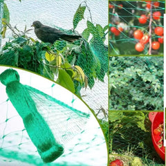 33FT Anti Bird Netting Pond Net Protection Tree Crops Plants Fruits Garden Mesh Florida Guy