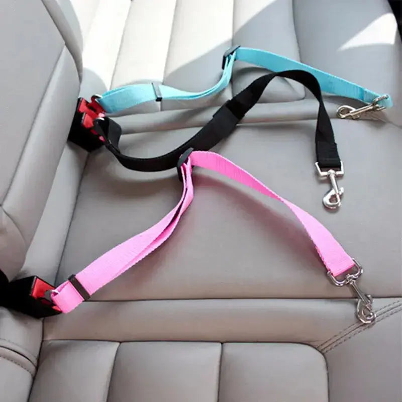 Adjustable Pet Seat Belt Florida Guy