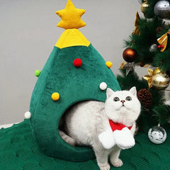 Christmas Cat House Florida Guy