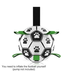 Soccer Ball Dog Toy Florida Guy