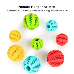 Interactive Pets Rubber Balls Florida Guy