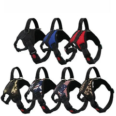 Pet Walking Harness Adjustable Comfort Florida Guy