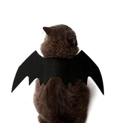 Halloween Cute Pet Clothes Black Bat Florida Guy