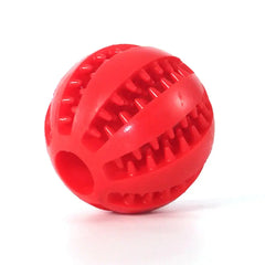 Interactive Pets Rubber Balls Florida Guy